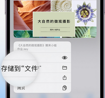 果洛apple维修中心分享iPhone文件应用中存储和找到下载文件