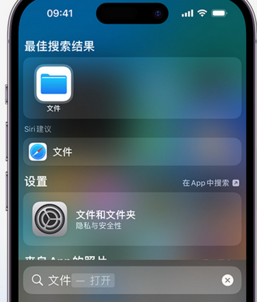 果洛apple维修中心分享iPhone文件应用中存储和找到下载文件 