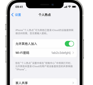 果洛apple服务站点分享iPhone上个人热点丢失了怎么办 