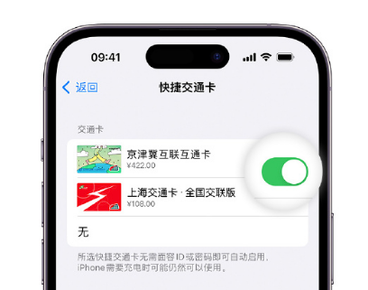 果洛apple维修点分享iPhone上更换Apple Pay快捷交通卡手绘卡面 