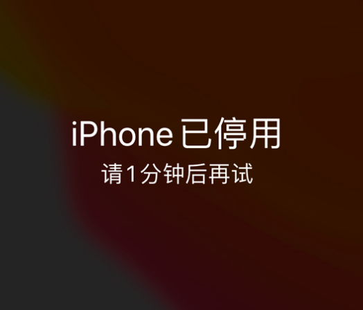 果洛苹果手机维修分享:iPhone 显示“不可用”或“已停用”怎么办？还能保留数据吗？ 