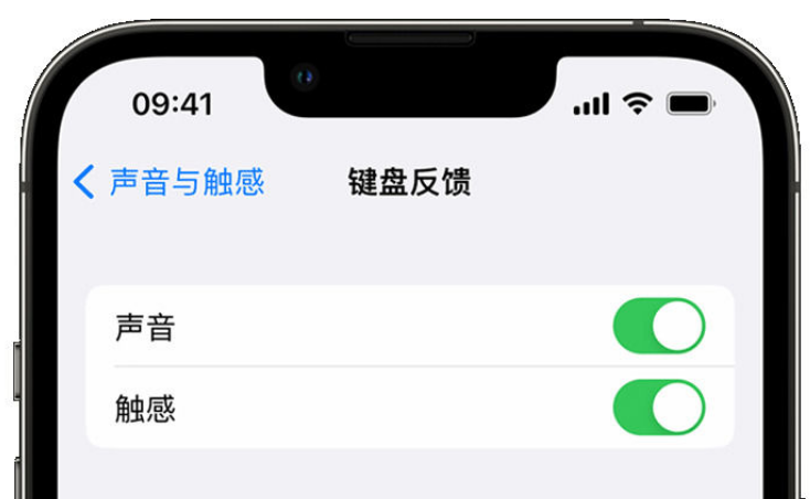 果洛苹果手机维修分享iPhone 14触感键盘使用方法 