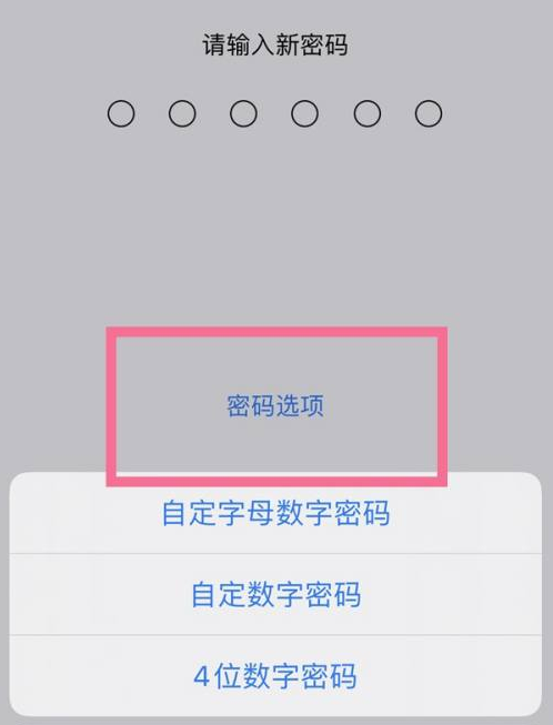 果洛苹果14维修分享iPhone 14plus设置密码的方法 